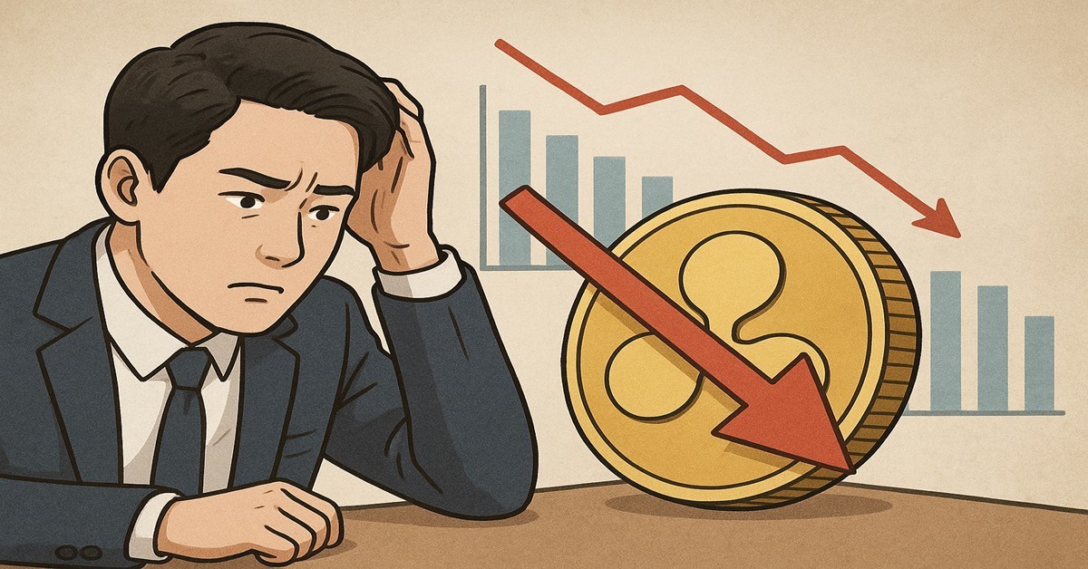 기사 내용을 바탕으로 한 참고 이미지