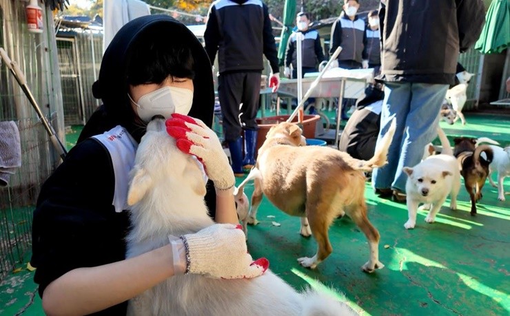 BNK금융그룹은 지난 24일(월) 부산 기장군 철마면에 위치한 유기견보호센터에서 네이밍 스폰서십을 후원 중인 지역 e스포츠구단 ‘BNK FEARX’ 리그 오브 레전드(LoL) 주전 선수와 BNK금융그룹 임직원이 함께 유기견 보호소 봉사활동을 진행했다 / 사진제공=부산은행