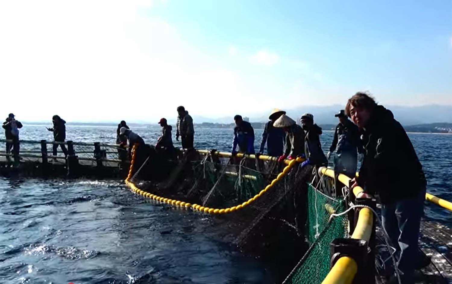 방어 축양장 / '생선의 명수' 유튜브