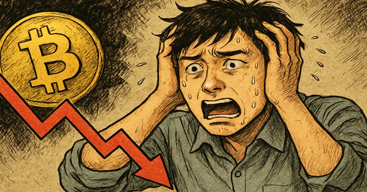 기사 내용을 바탕으로 한 참고 이미지