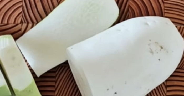 유튜브 '묘식당 Rabbit's'