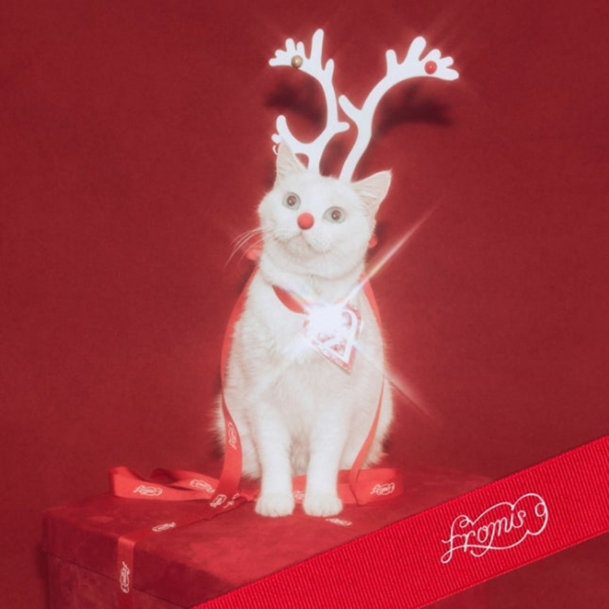 프로미스나인 새 싱글 ‘하얀 그리움’ 재킷 사진 / 어센드 제공