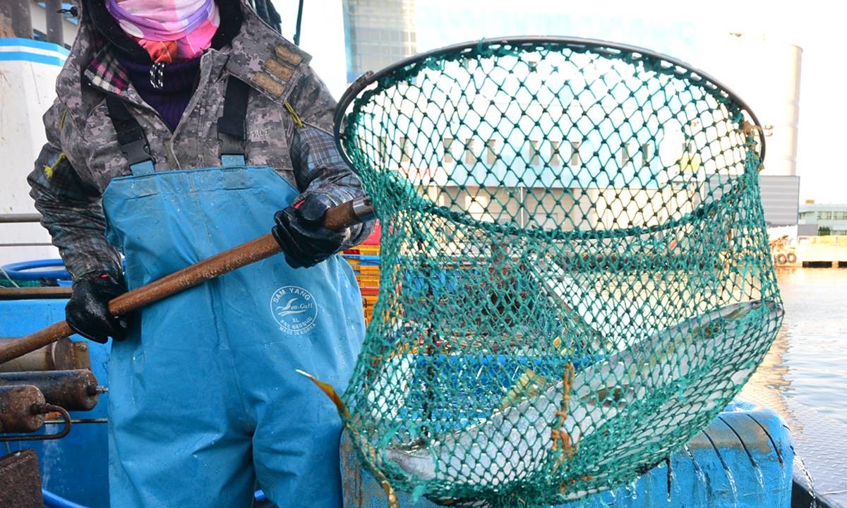 갓 잡은 겨울 제철 대방어 / 뉴스1