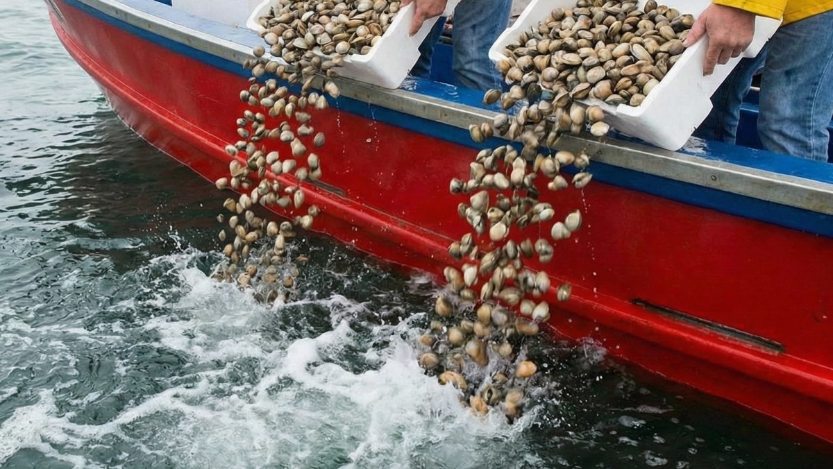 기사를 바탕으로 AI가 생성한 자료사진. 실제와 다를 수 있습니다.