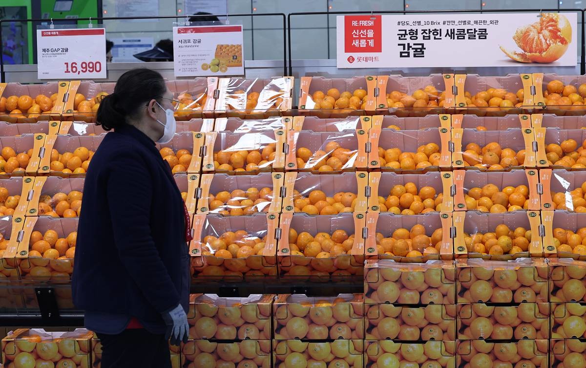 서울의 한 대형마트에 감귤이 진열돼 있다 / 뉴스1