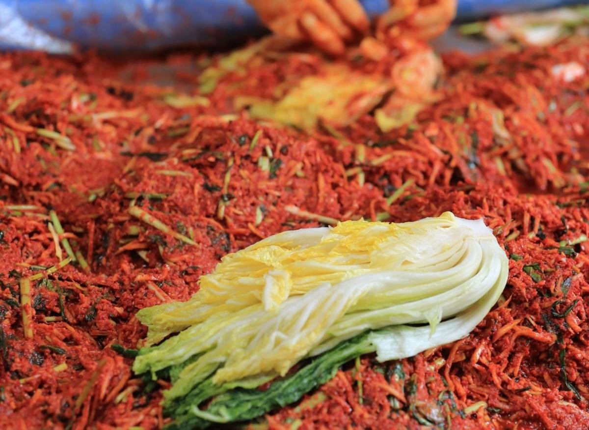 겉절이 자료사진 / Stock for you-shutterstockcom