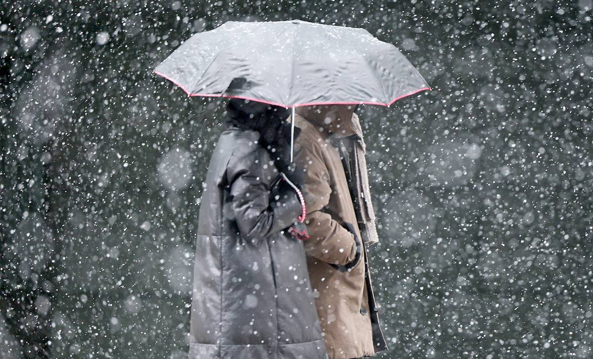 눈보라 치는 모습 / 뉴스1