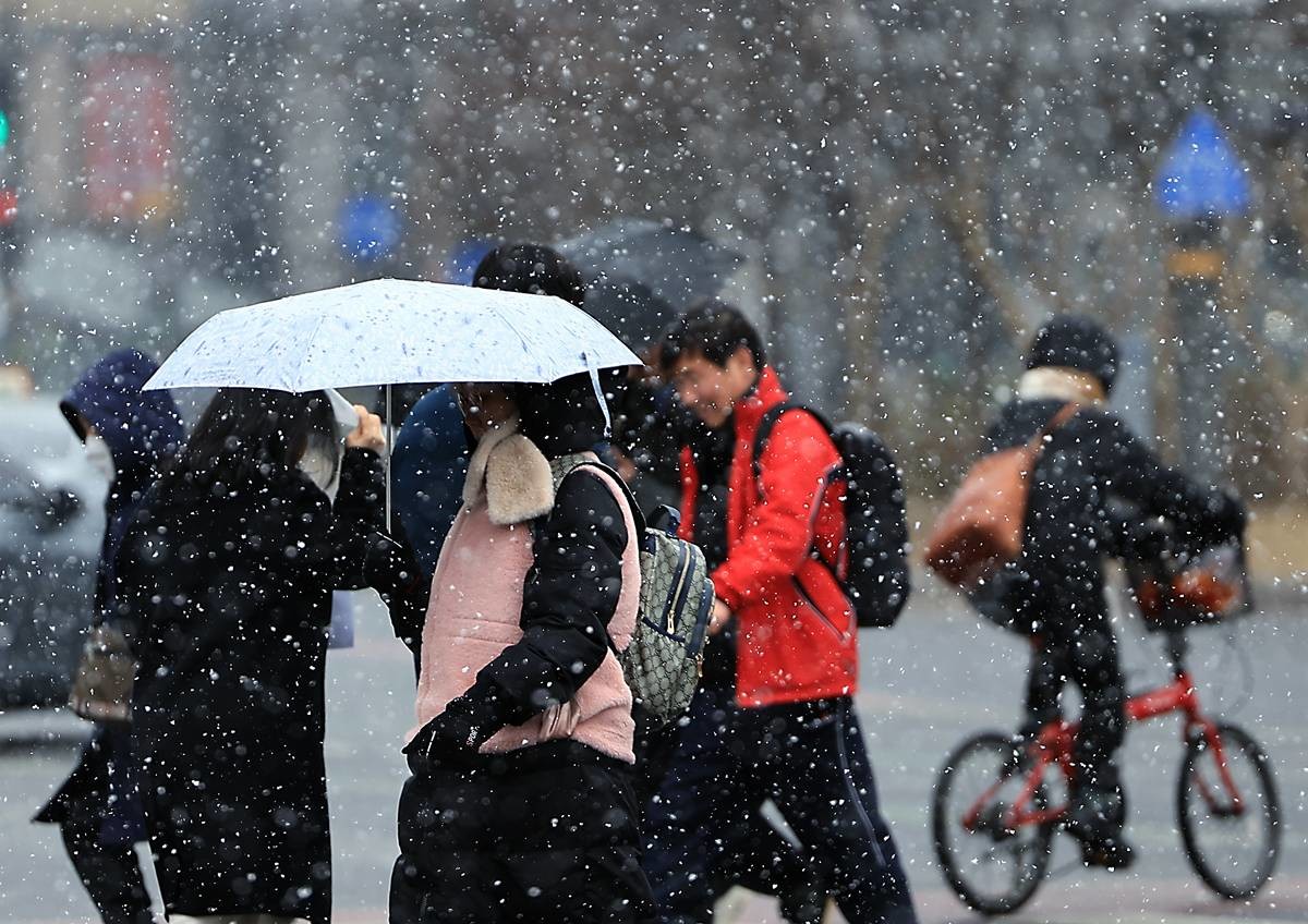 거센 눈발 날리는 모습 / 뉴스1