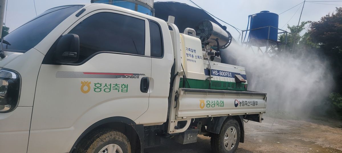 아프리카돼지열병 차단 방역 총력대응 / 홍성군 제공