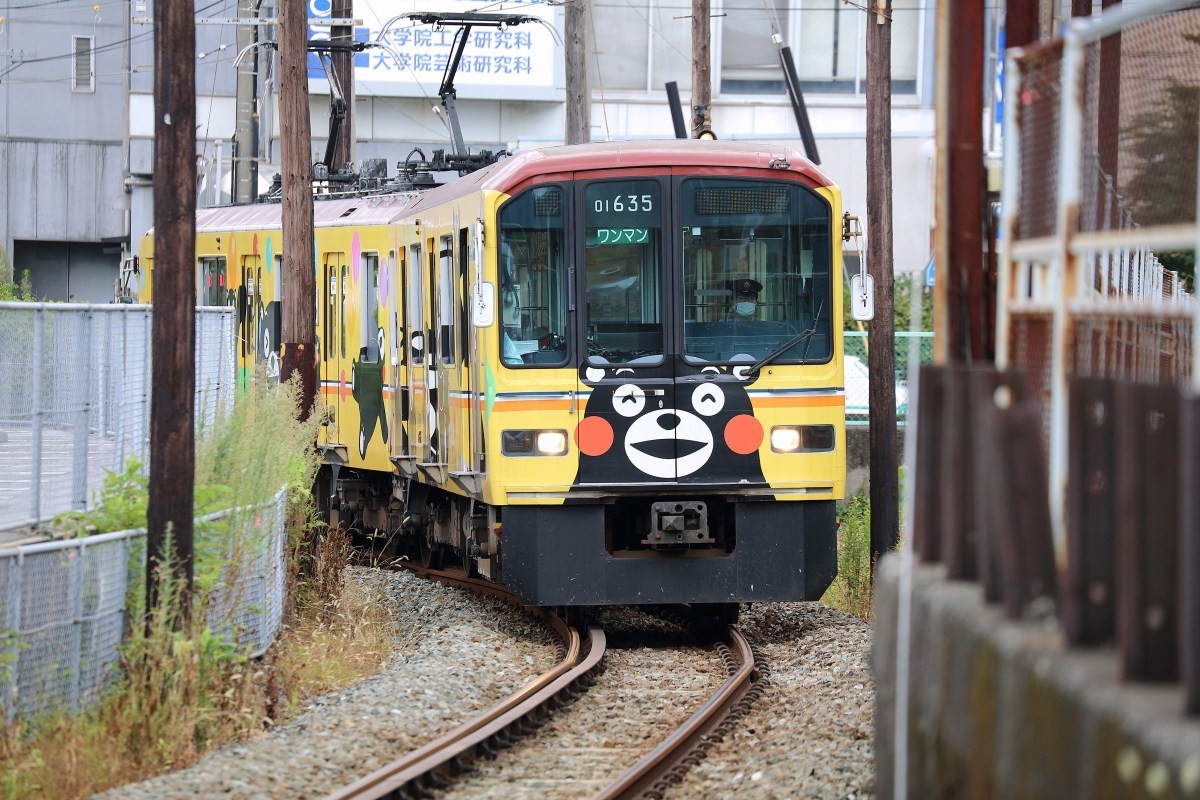 쿠마몬. / topimages-shutterstock.com