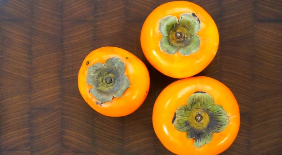 유튜브 '큰달걀TV'