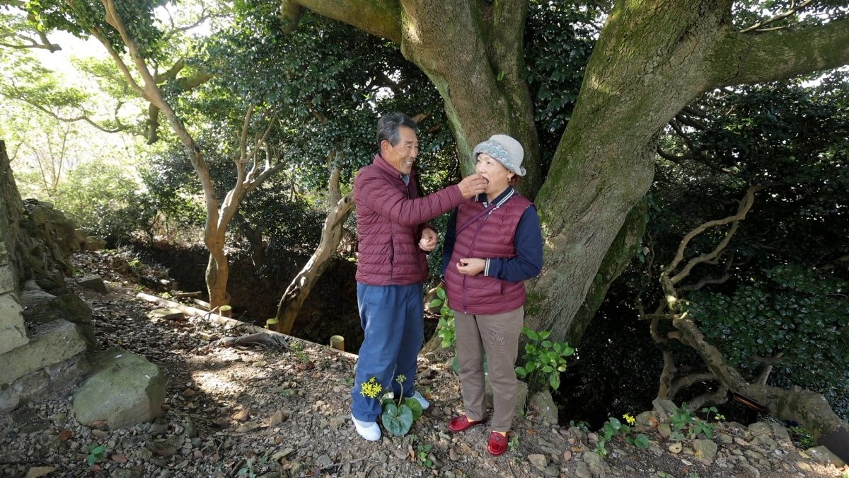 EBS1 '한국기행' 미리보기 페이지에서 제공하는 '추도 섬 부부가 사는 법' 편 자료 사진. / EBS1 제공