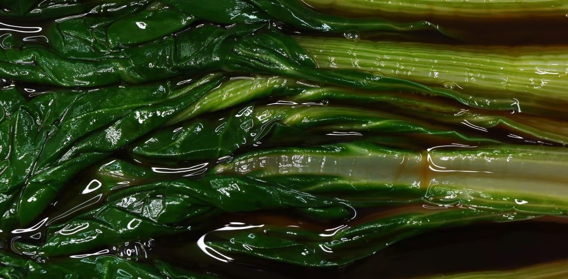 유튜브 '팔숙이 palsook'