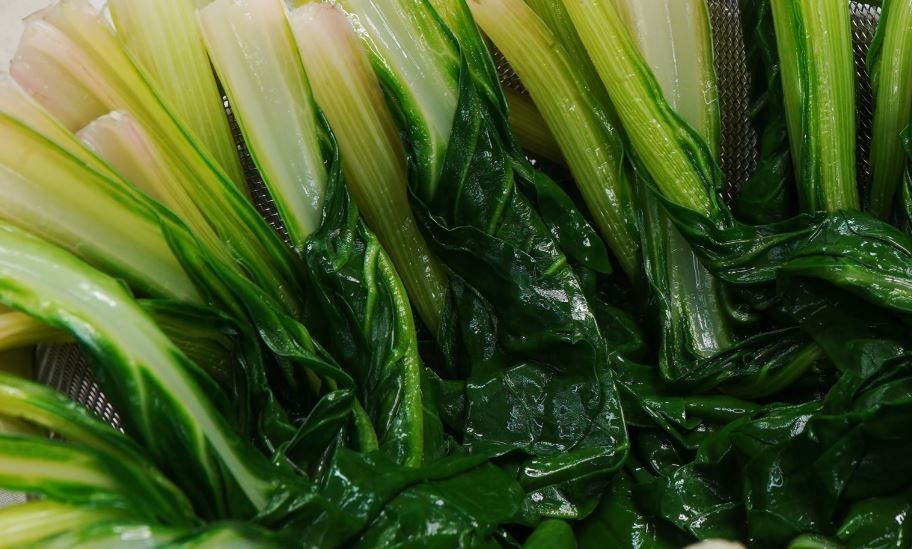 유튜브 '팔숙이 palsook'