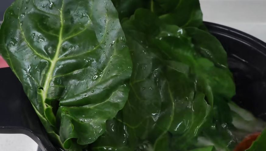 유튜브 '팔숙이 palsook'