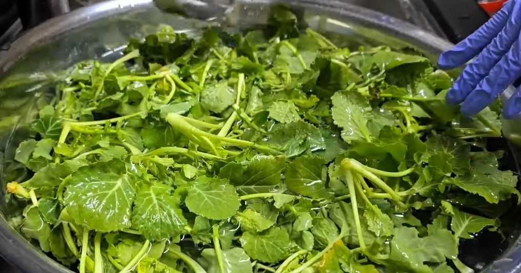 유튜브 '울산댁의 오늘저녁, K-mom's cuisine'