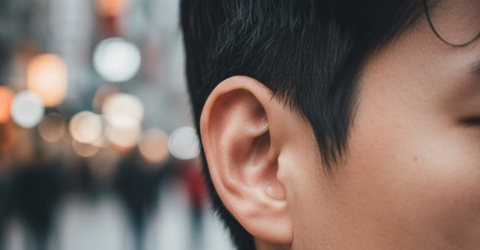 기사의 이해를 돕기 위한 AI 생성 이미지