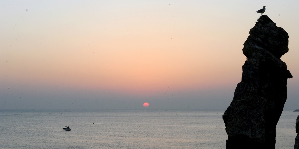강원도 동해시 추암해변 앞 바다 수평선위로 첫 태양이 장엄한 모습을 드러내고 있다. / 뉴스1