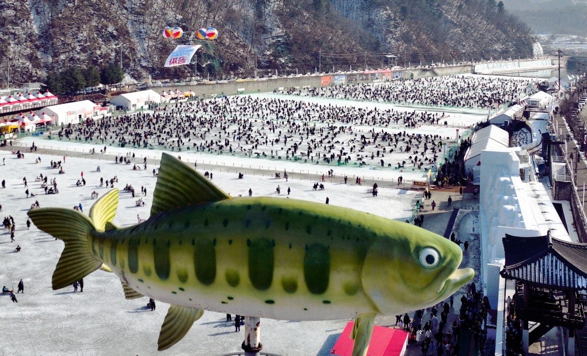 화천 산천어 축제 / 화천군 제공, 뉴스1