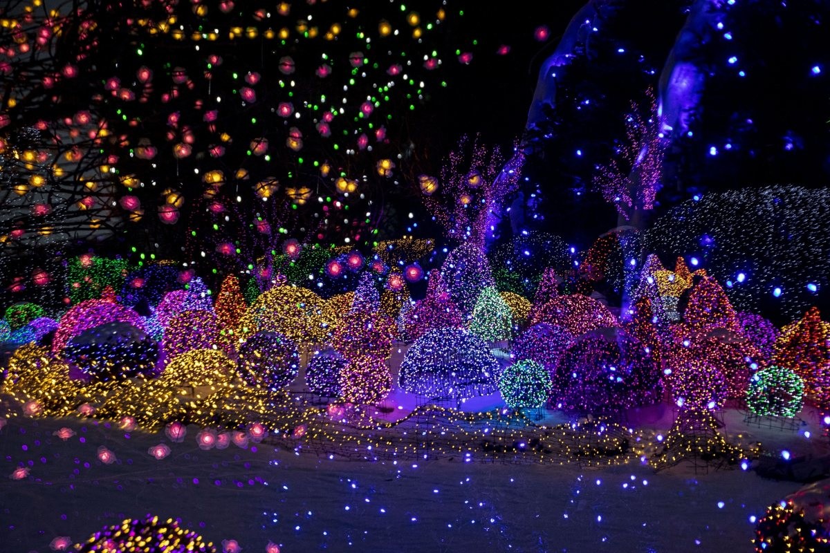 오색별빛정원전 자료 사진 / Stock for you-shutterstock.com