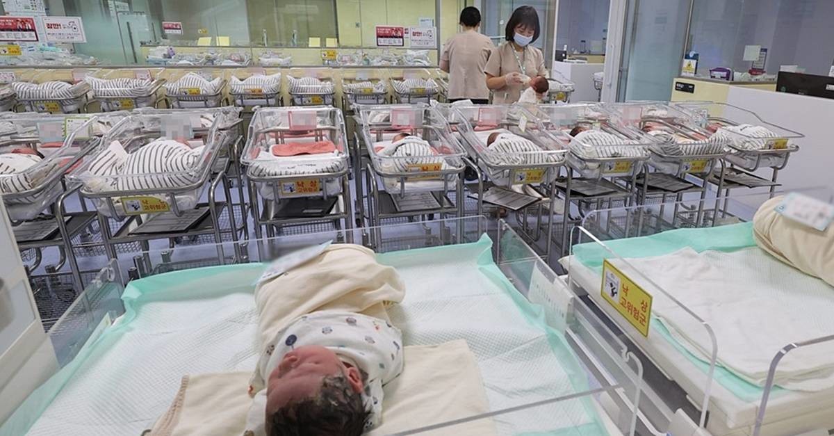 출생아 / 연합뉴스