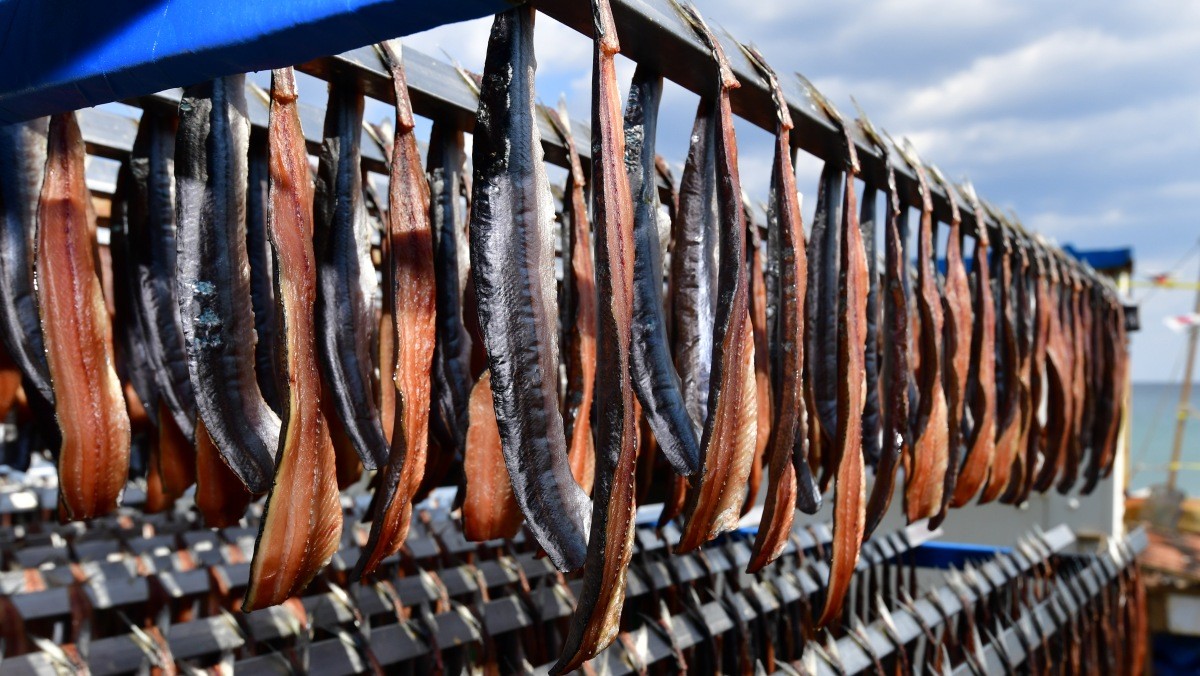 겨울 제철 생선 과메기 / 뉴스1