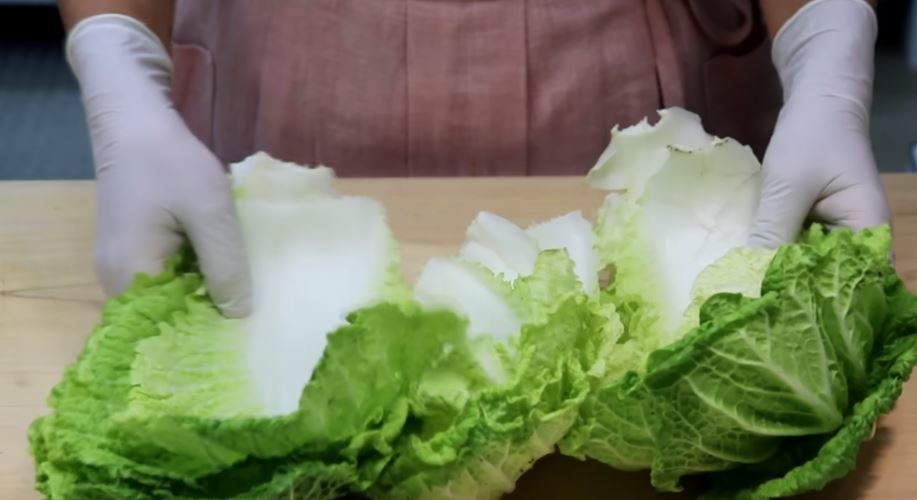 유튜브 '양장금주부'