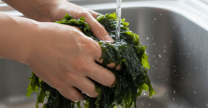 기사의 이해를 돕기 위한 AI 생성 이미지