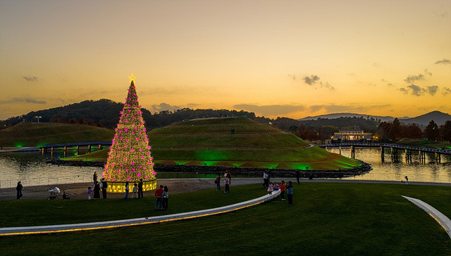 노을과 함께하는 순천만국가정원 호수정원 대형트리