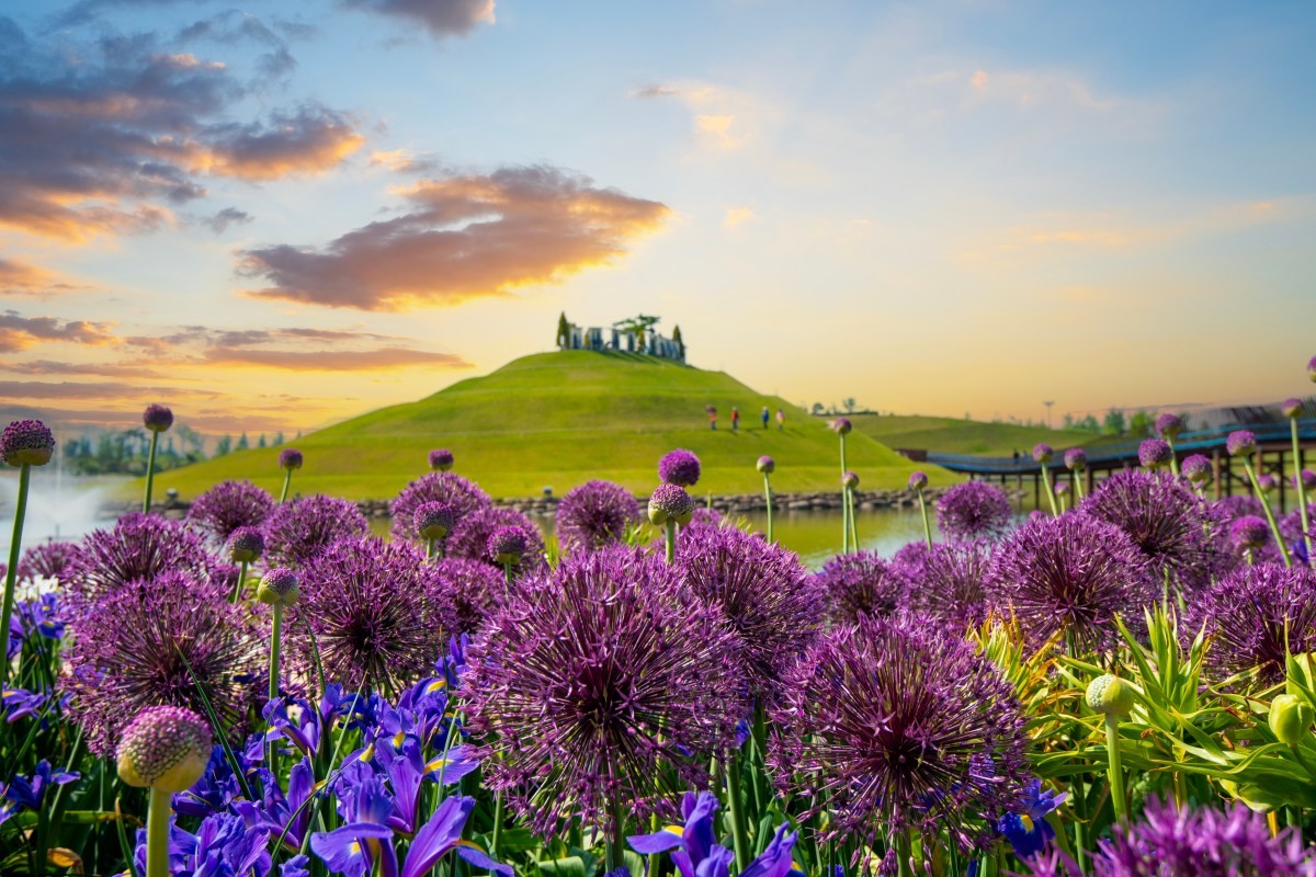 순천만국가정원. / ST_Travel-shutterstock.com