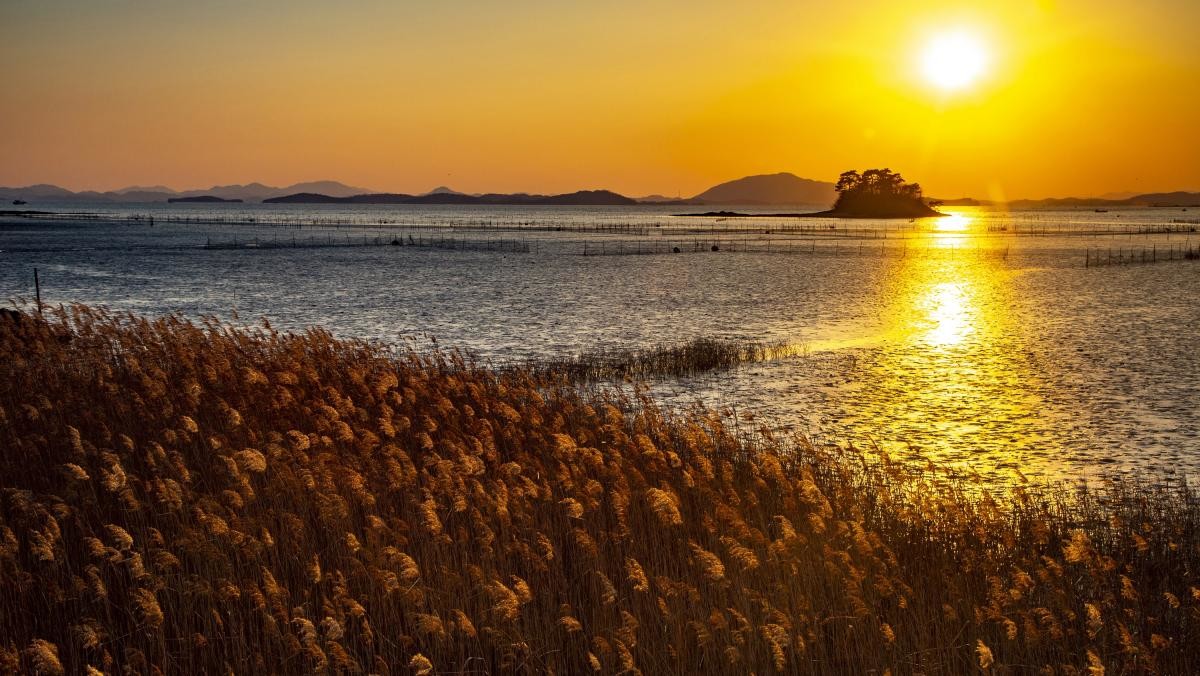 순천만습지. / Stock for you-shutterstock.com