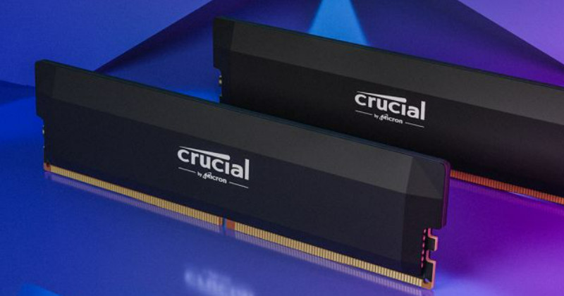 Crucial Pro / 마이크론 크루셜