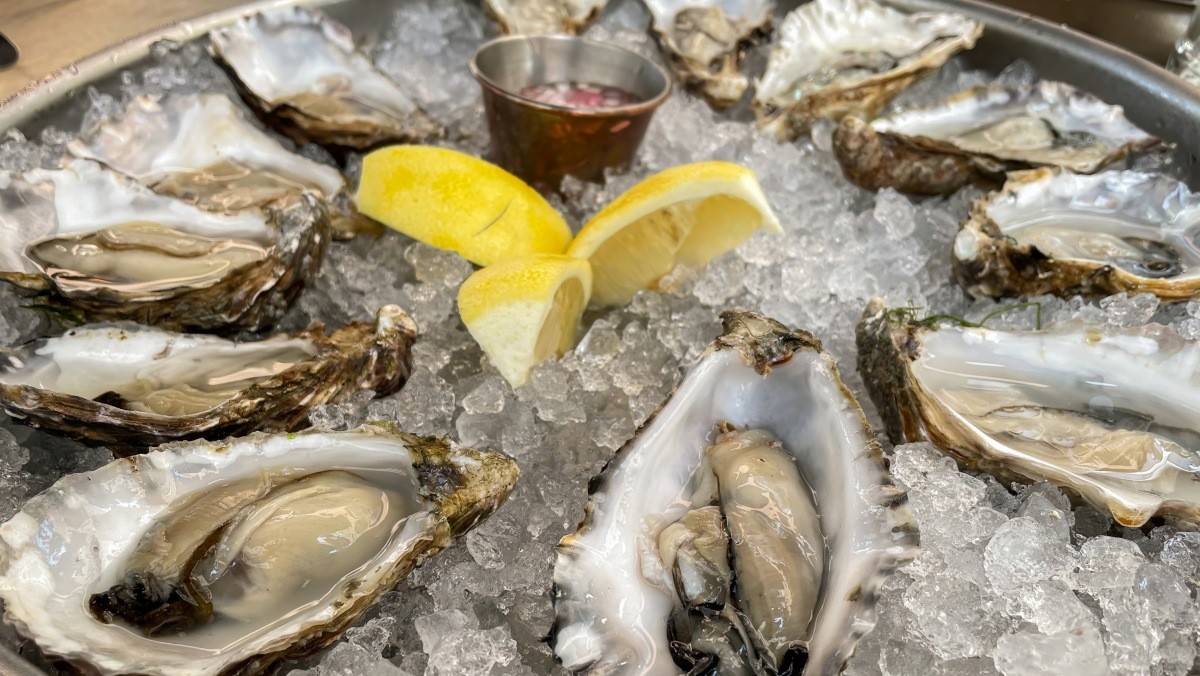 기사 내용 이해를 돕기 위한 굴 사진 / oliverdelahaye-Shutterstock.com