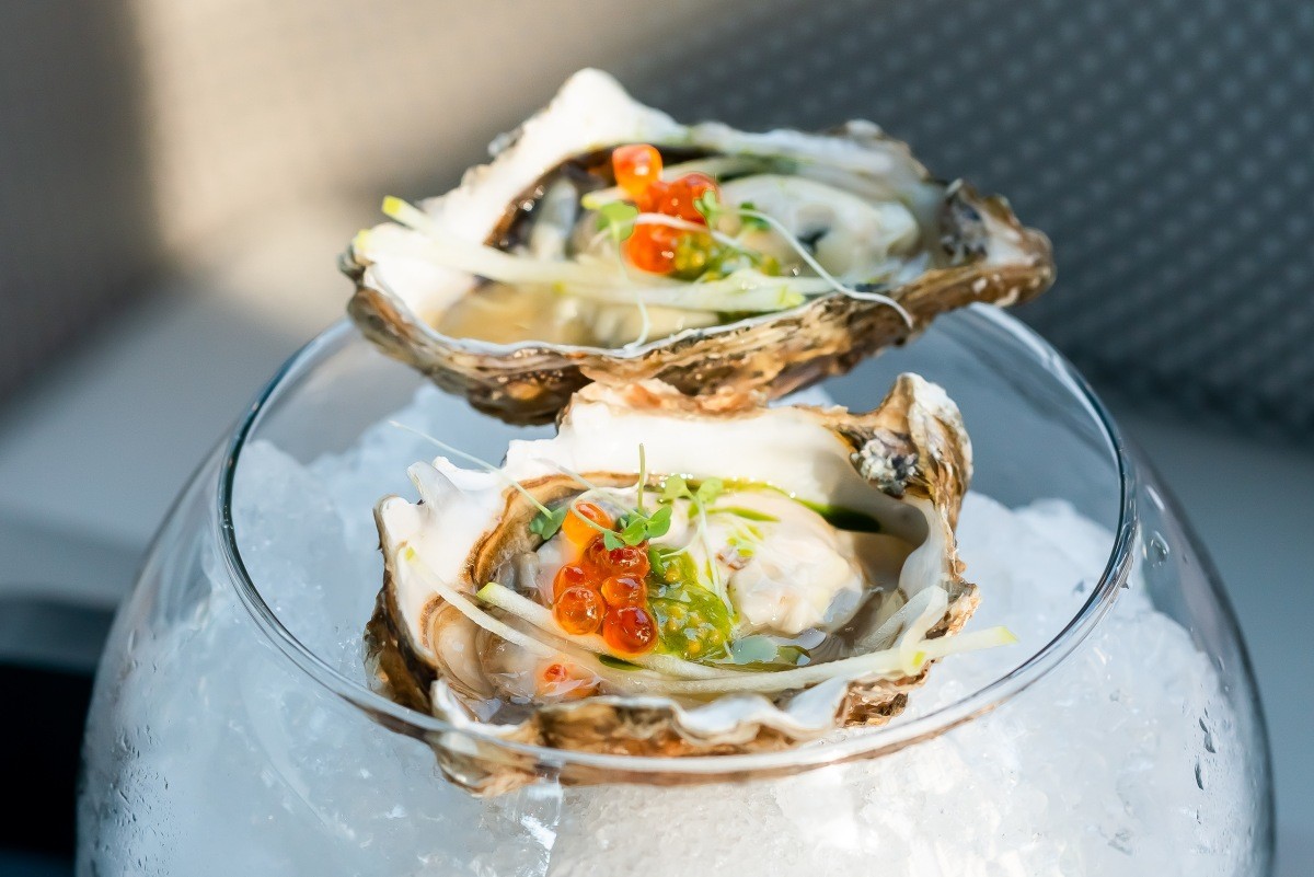 기사 내용 이해를 돕기 위한 굴 사진 / Katerina Parameyeva-Shutterstock.com