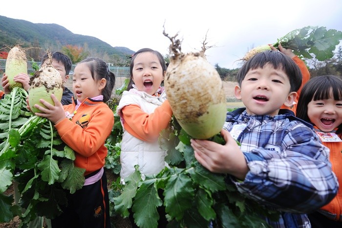 기사의 이해를 돕기 위한 사진 / 뉴스1