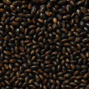 기사 내용을 바탕으로 제작한 자료 움짤.