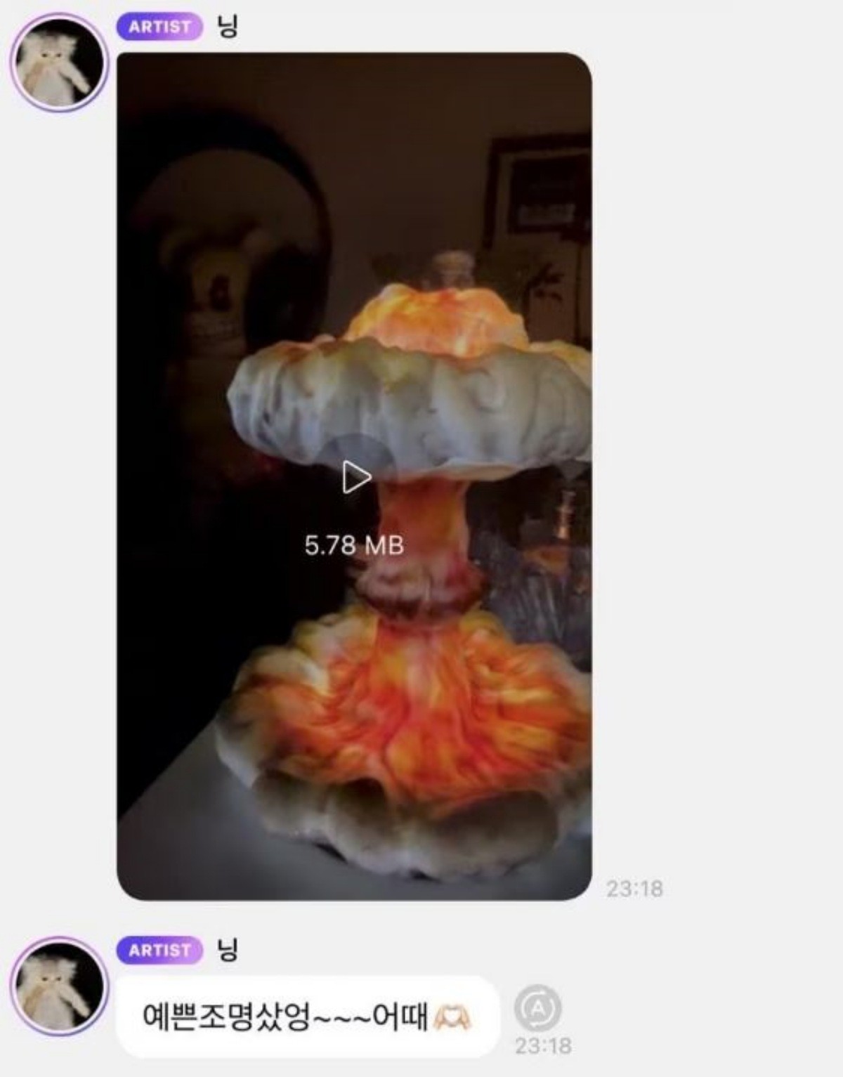 닝닝이 공개한 논란의 조명. / 온라인 커뮤니티