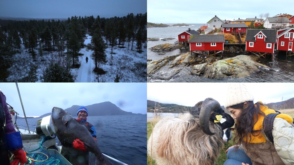 '세계테마기행' 극야의 왕국 북유럽 1부, 로포텐 편 자료 사진. / EBS1 제공