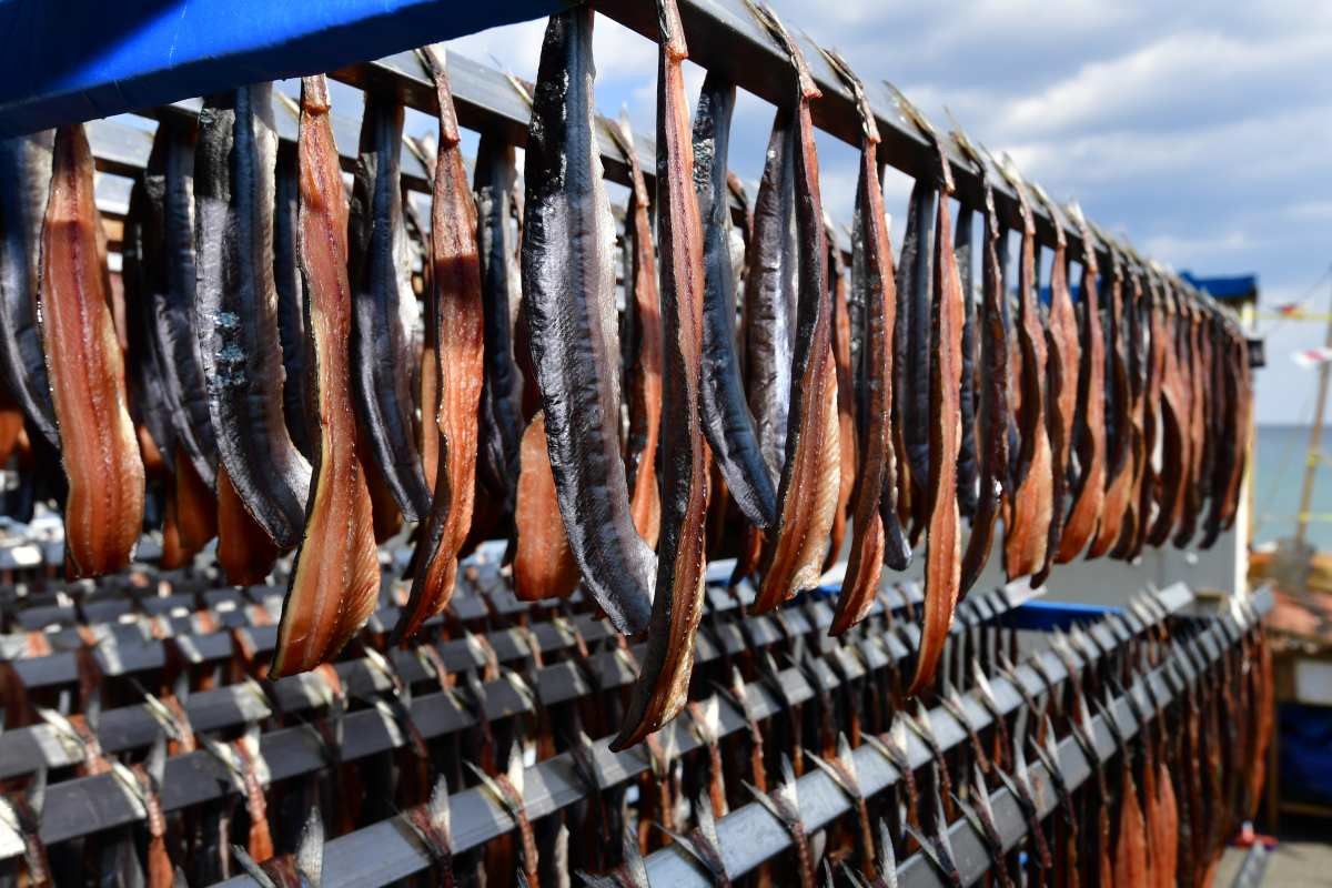 구룡포 과메기. 자료사진. / 뉴스1