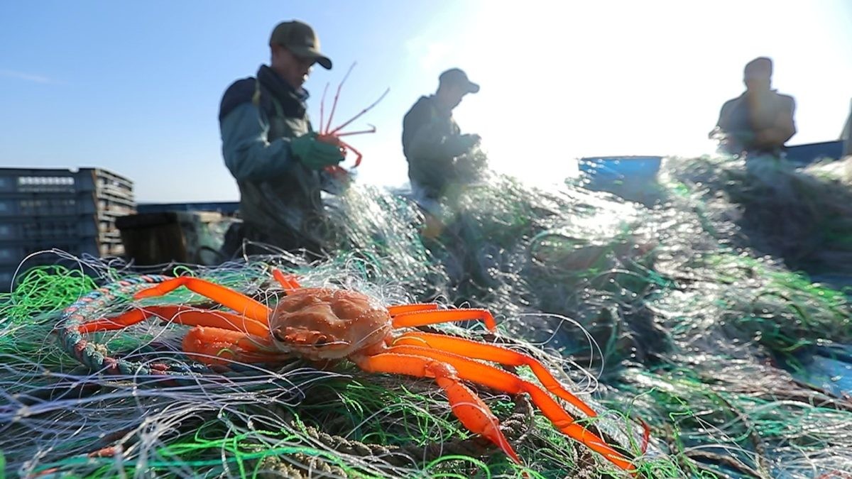 EBS1 '한국기행' 미리보기 페이지에서 제공하는 '붉은 홍게가 만선이라네' 편 자료 사진. / EBS1 제공