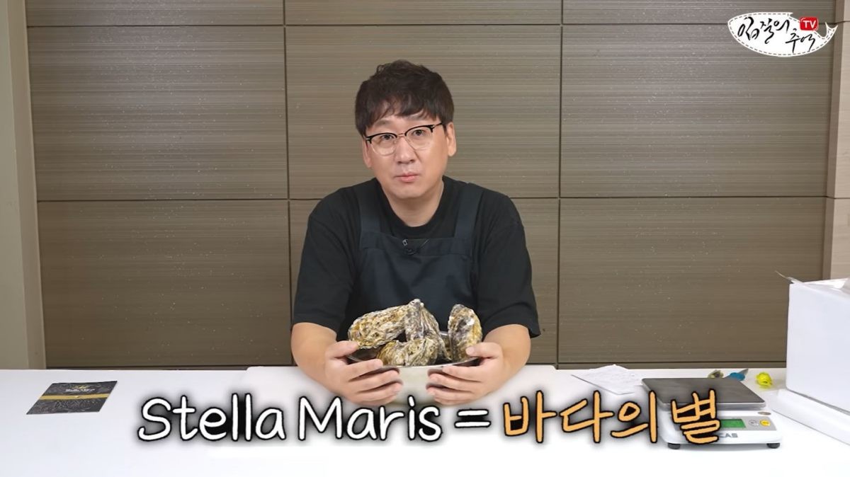 스텔라마리스의 뜻. / 유튜브 '입질의추억TV jiminTV'