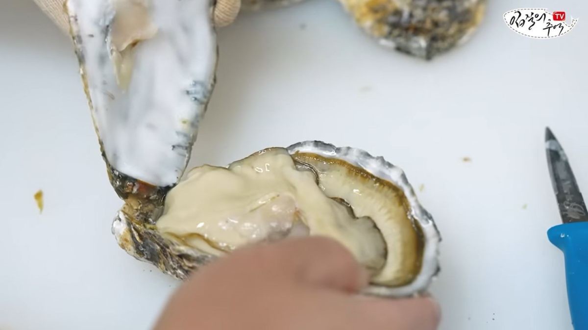 손질되고 있는 스텔라마리스. / 유튜브 '입질의추억TV jiminTV'