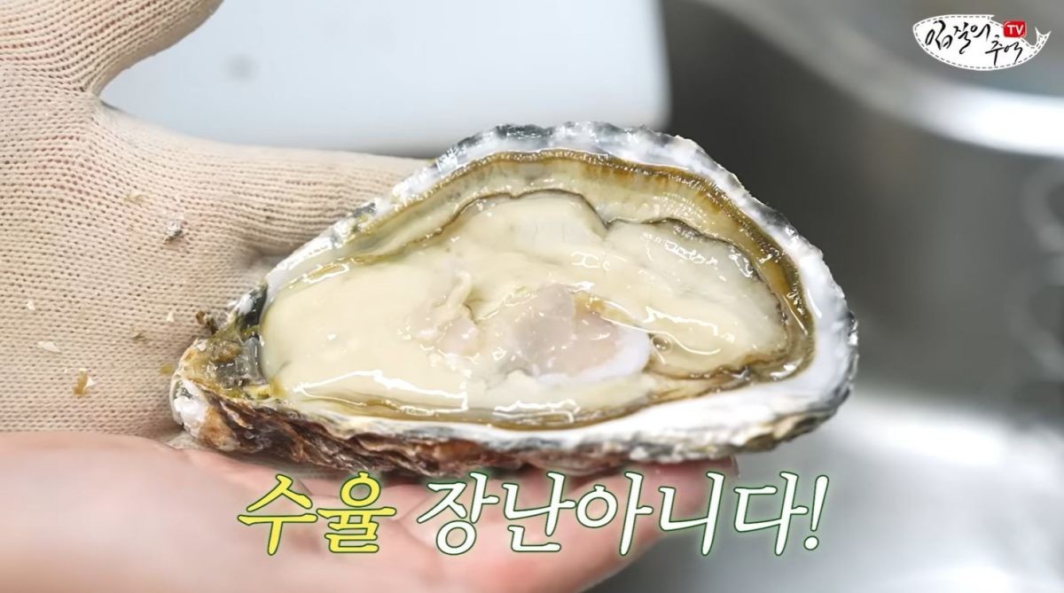 깨끗히 손질되고 있는 스텔라마리스. / 유튜브 '입질의추억TV jiminTV'