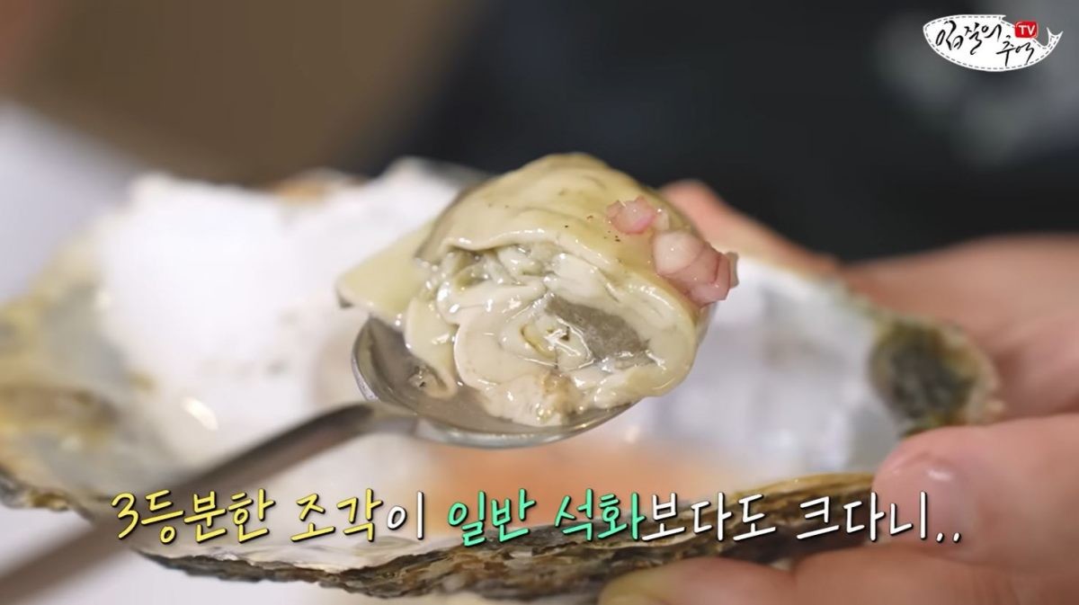 먹기 직전, 먹음직스럽게 생긴 스텔라마리스. / 유튜브 '입질의추억TV jiminTV'