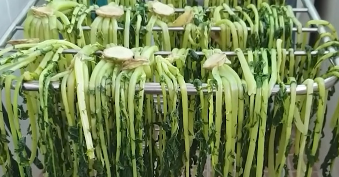 유튜브 '주부나라'