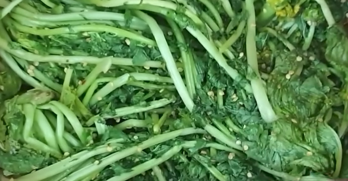 유튜브 '주부나라'