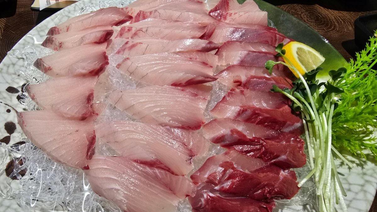 방어 자료사진 / Alex_Yu-shutterstock.com