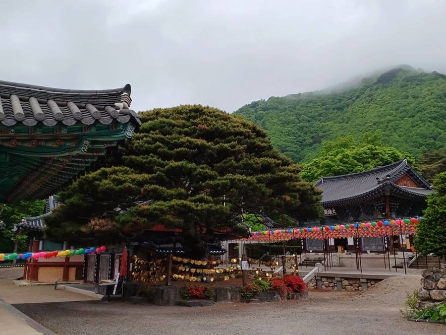보경사 전경/이하 포항시