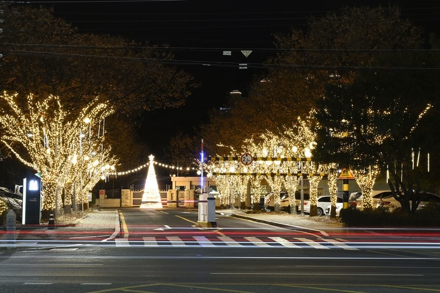 대구 달성군 Re:화원 도시숲에 설치된 크리스마스 경관조명이 빛을 밝히고 있다. / 대구 달성군 제공