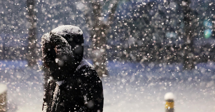 기사의 이해를 돕기 위한 사진 / 뉴스1